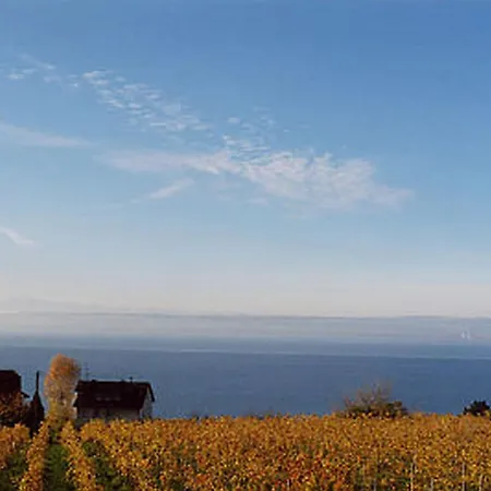 Abc Abc D Apartment Meersburg